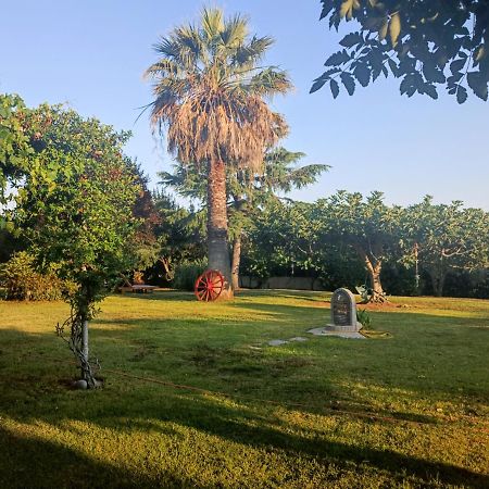Apartments Karpetis A Green Paradise 사코우디아 외부 사진