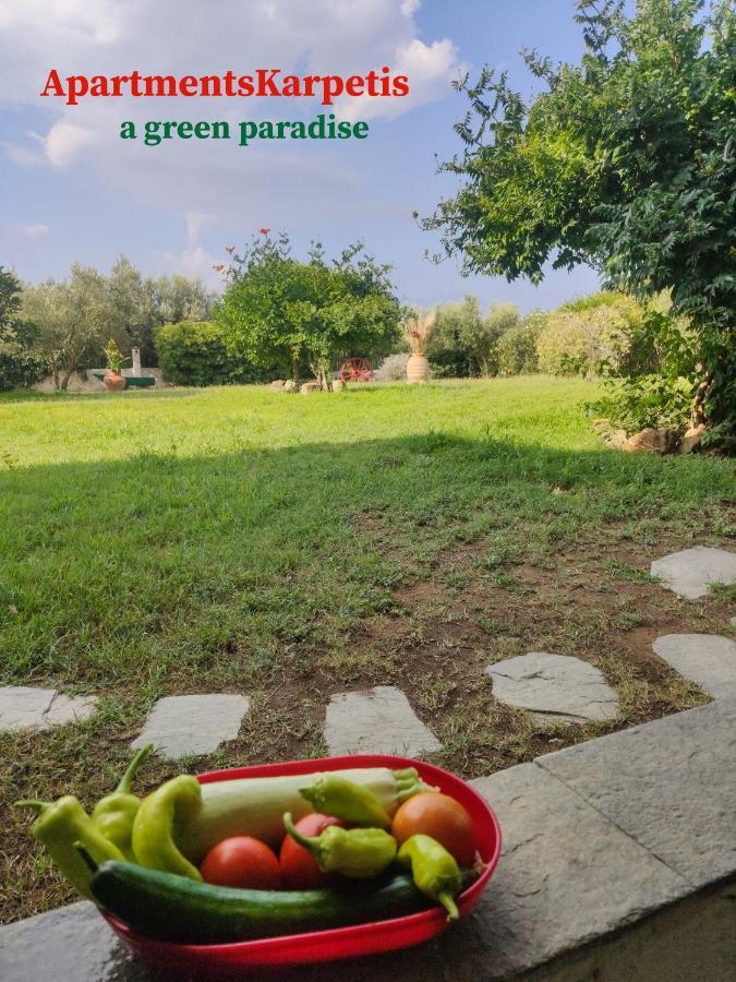 Apartments Karpetis A Green Paradise 사코우디아 외부 사진