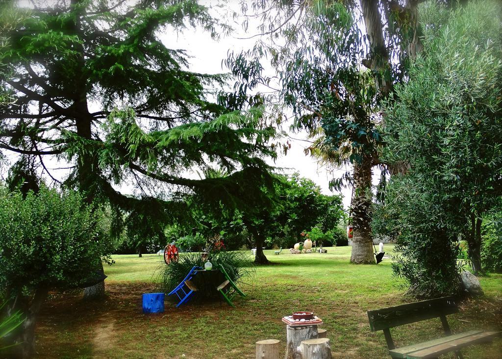Apartments Karpetis A Green Paradise 사코우디아 외부 사진