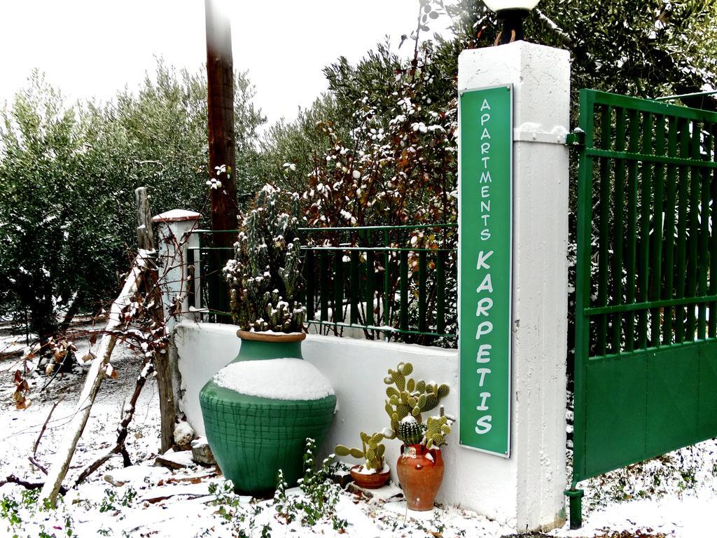 Apartments Karpetis A Green Paradise 사코우디아 외부 사진